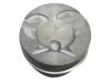 Piston:601 030 25 17