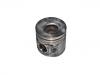 Piston:299 2065