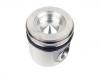 Piston:4898823