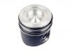 Piston:504052270