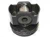 Piston:21161901