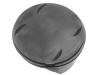 Piston:273 030 15 17
