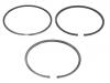 Поршневое кольцо Piston Rings:71749467
